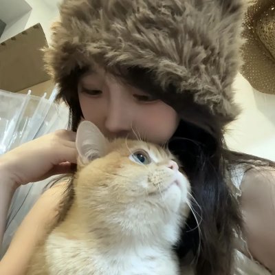 喜宝